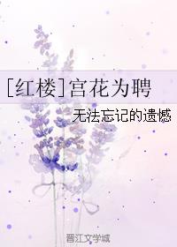 红楼宫花为聘书包网