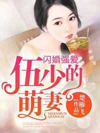 闪婚宠妻无度全本免费