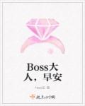 boss大人高兴别太早小说免费