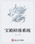 宝箱掉落率增加20有什么用