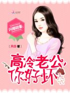 闪婚甜妻太傲娇