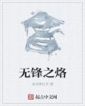 无锋科技公司