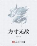 天元无敌方寸