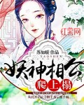 妖神相公逆天妻全文阅读