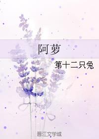 阿萝 作者:第十二只兔全文免费阅读