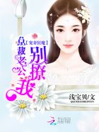 宠妻狂魔总裁老公放肆爱小说