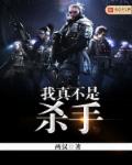 我真不是杀手中文版