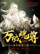 万域魂师小说