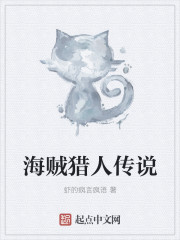 海贼猎人是干什么的