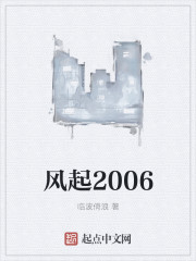 风起2005全本免费阅读