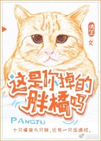 这是你掉的橘猫吗番外