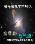 多元宇宙级战斗