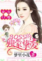 豪门夺婚:BOSS的独家挚爱