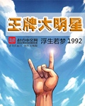 王牌大明星2008全集