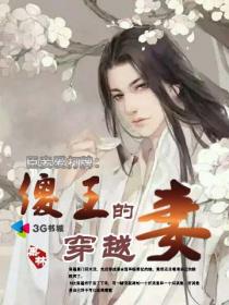 傻王爷穿越王妃漫画免费大全