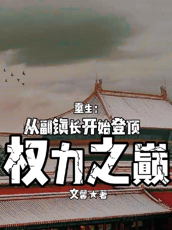 重生从乡镇长到省委书记的小说