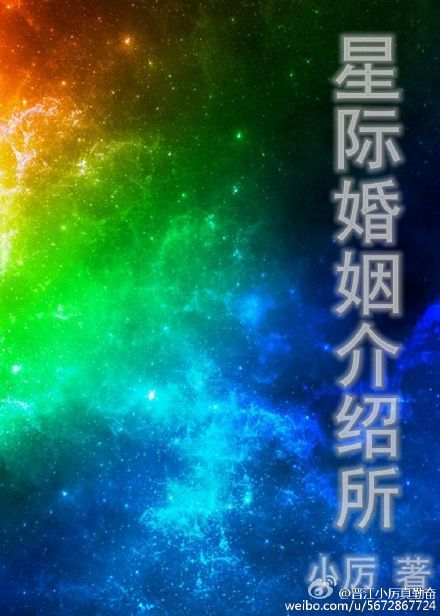 星际婚姻介绍所txt下载