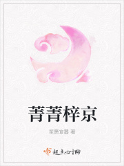 菁菁子衿是什么意思