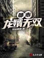 无双龙婿小说