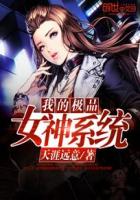 我的极品女神小说免费完整版