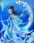 小说暗夜魔妃简介