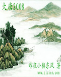 大唐20008